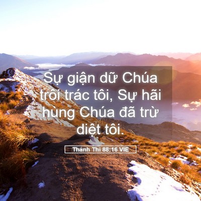 Picture 05 - Thánh Thi 88:16 VIE - Sự giận dữ Chúa trôi trác tôi, Sự - Bible Verse Picture