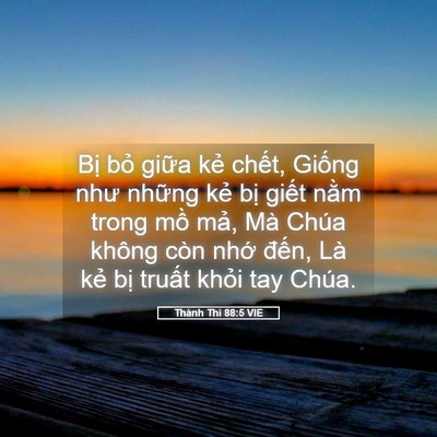 Picture 05 - Thánh Thi 88:5 VIE - Bị bỏ giữa kẻ chết, Giống như - Bible Verse Picture