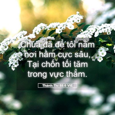Picture 05 - Thánh Thi 88:6 VIE - Chúa đã để tôi nằm nơi hầm cực - Bible Verse Picture