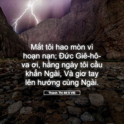 Picture 05 - Thánh Thi 88:9 VIE - Mắt tôi hao mòn vì hoạn nạn; Đức - Bible Verse Picture