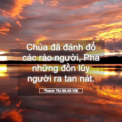 Picture 05 - Thánh Thi 89:40 VIE - Chúa đã đánh đổ các rào người, Phá - Bible Verse Picture