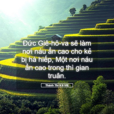 Picture 05 - Thánh Thi 9:9 VIE - Đức Giê-hô-va sẽ làm nơi náu ẩn cao - Bible Verse Picture