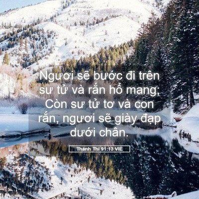 Picture 05 - Thánh Thi 91:13 VIE - Ngươi sẽ bước đi trên sư tử và rắn - Bible Verse Picture