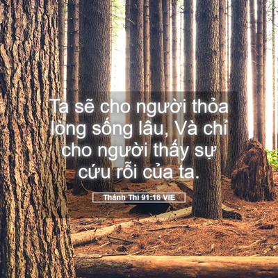 Picture 05 - Thánh Thi 91:16 VIE - Ta sẽ cho người thỏa lòng sống lâu, - Bible Verse Picture