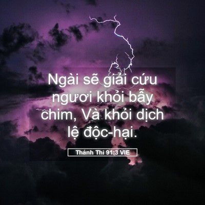 Picture 05 - Thánh Thi 91:3 VIE - Ngài sẽ giải cứu ngươi khỏi bẫy - Bible Verse Picture