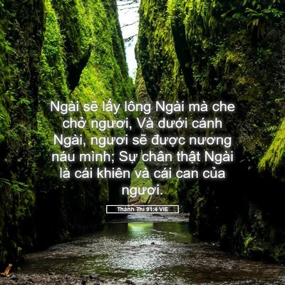 Picture 05 - Thánh Thi 91:4 VIE - Ngài sẽ lấy lông Ngài mà che chở - Bible Verse Picture