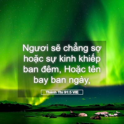 Picture 05 - Thánh Thi 91:5 VIE - Ngươi sẽ chẳng sợ hoặc sự kinh - Bible Verse Picture