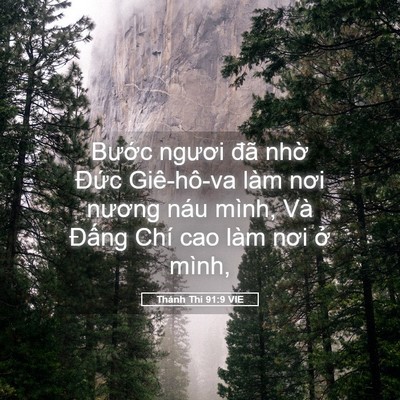 Picture 05 - Thánh Thi 91:9 VIE - Bước ngươi đã nhờ Đức Giê-hô-va - Bible Verse Picture