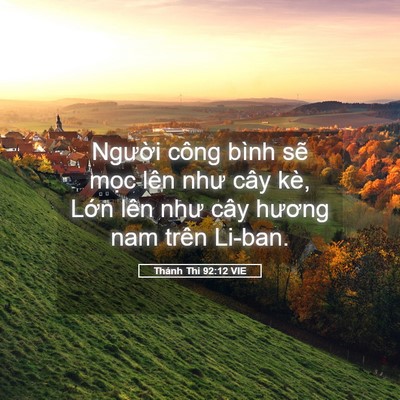 Picture 05 - Thánh Thi 92:12 VIE - Người công bình sẽ mọc lên như cây - Bible Verse Picture