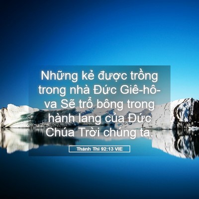 Picture 05 - Thánh Thi 92:13 VIE - Những kẻ được trồng trong nhà Đức - Bible Verse Picture