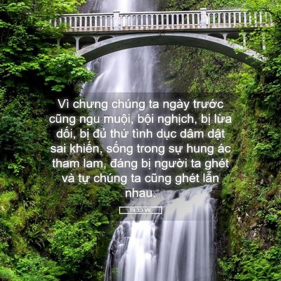 Picture 05 - Tít 3:3 VIE - Vì chưng chúng ta ngày trước cũng ngu - Bible Verse Picture