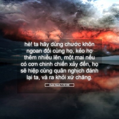 Picture 05 - Xuất Hành 1:10 VIE - hè! ta hãy dùng chước khôn ngoan đối - Bible Verse Picture