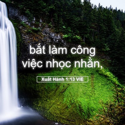 Picture 05 - Xuất Hành 1:13 VIE - bắt làm công việc nhọc - Bible Verse Picture
