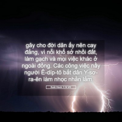 Picture 05 - Xuất Hành 1:14 VIE - gây cho đời dân ấy nên cay đắng, vì - Bible Verse Picture