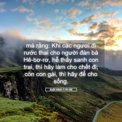 Picture 05 - Xuất Hành 1:16 VIE - mà rằng: Khi các ngươi đi rước thai cho - Bible Verse Picture