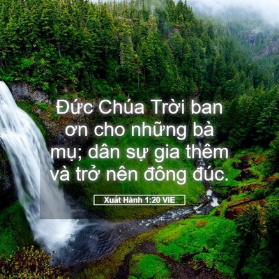 Picture 05 - Xuất Hành 1:20 VIE - Đức Chúa Trời ban ơn cho những bà mụ; - Bible Verse Picture