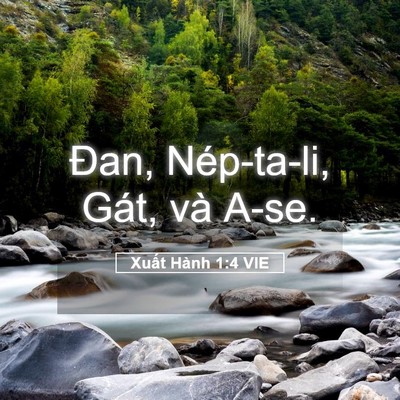 Picture 05 - Xuất Hành 1:4 VIE - Đan, Nép-ta-li, Gát, và - Bible Verse Picture