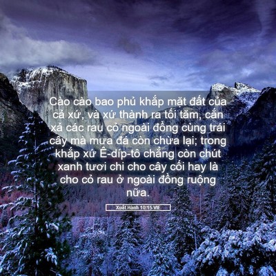 Picture 05 - Xuất Hành 10:15 VIE - Cào cào bao phủ khắp mặt đất của - Bible Verse Picture