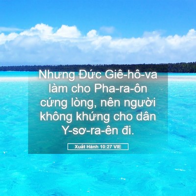 Picture 05 - Xuất Hành 10:27 VIE - Nhưng Đức Giê-hô-va làm cho Pha-ra-ôn - Bible Verse Picture