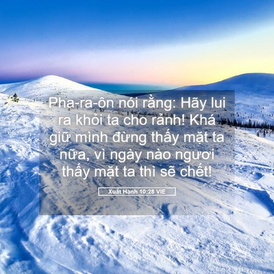 Picture 05 - Xuất Hành 10:28 VIE - Pha-ra-ôn nói rằng: Hãy lui ra khỏi ta cho - Bible Verse Picture