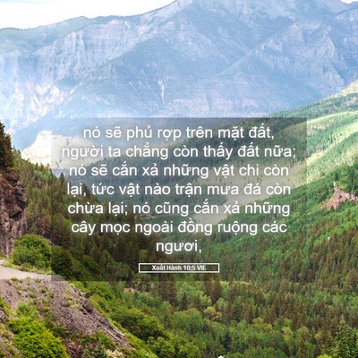 Picture 05 - Xuất Hành 10:5 VIE - nó sẽ phủ rợp trên mặt đất, người - Bible Verse Picture
