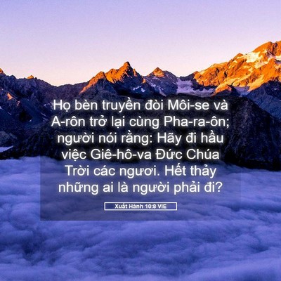 Picture 05 - Xuất Hành 10:8 VIE - Họ bèn truyền đòi Môi-se và A-rôn trở - Bible Verse Picture