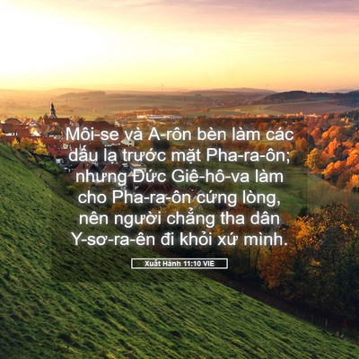 Picture 05 - Xuất Hành 11:10 VIE - Môi-se và A-rôn bèn làm các dấu lạ - Bible Verse Picture