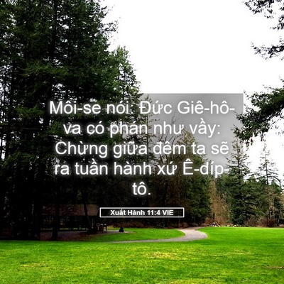 Picture 05 - Xuất Hành 11:4 VIE - Môi-se nói: Đức Giê-hô-va có phán như - Bible Verse Picture