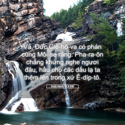 Picture 05 - Xuất Hành 11:9 VIE - Vả, Đức Giê-hô-va có phán cùng Môi-se - Bible Verse Picture