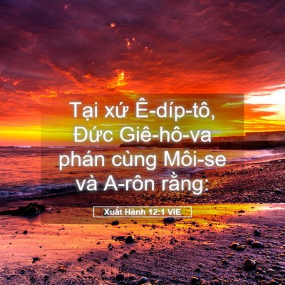 Picture 05 - Xuất Hành 12:1 VIE - Tại xứ Ê-díp-tô, Đức Giê-hô-va phán - Bible Verse Picture