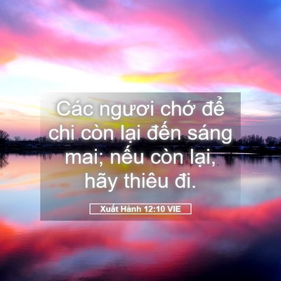 Picture 05 - Xuất Hành 12:10 VIE - Các ngươi chớ để chi còn lại đến - Bible Verse Picture