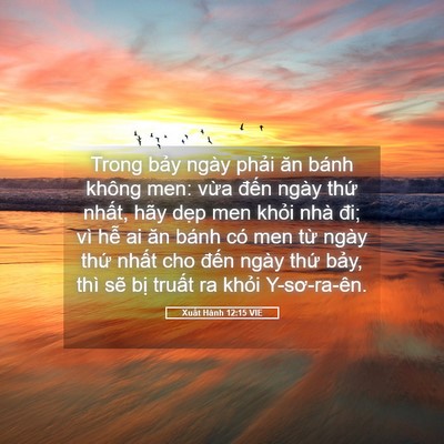 Picture 05 - Xuất Hành 12:15 VIE - Trong bảy ngày phải ăn bánh không men: - Bible Verse Picture
