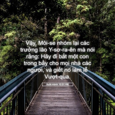 Picture 05 - Xuất Hành 12:21 VIE - Vậy, Môi-se nhóm lại các trưởng lão - Bible Verse Picture