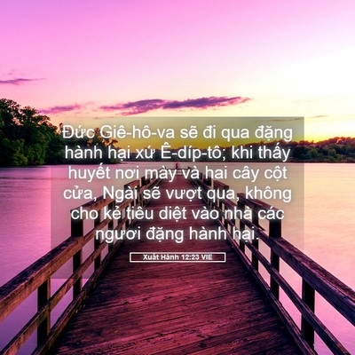 Picture 05 - Xuất Hành 12:23 VIE - Đức Giê-hô-va sẽ đi qua đặng hành - Bible Verse Picture