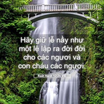 Picture 05 - Xuất Hành 12:24 VIE - Hãy giữ lễ nầy như một lệ lập ra - Bible Verse Picture