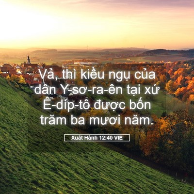 Picture 05 - Xuất Hành 12:40 VIE - Vả, thì kiều ngụ của dân Y-sơ-ra-ên - Bible Verse Picture