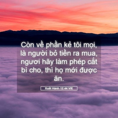 Picture 05 - Xuất Hành 12:44 VIE - Còn về phần kẻ tôi mọi, là người - Bible Verse Picture