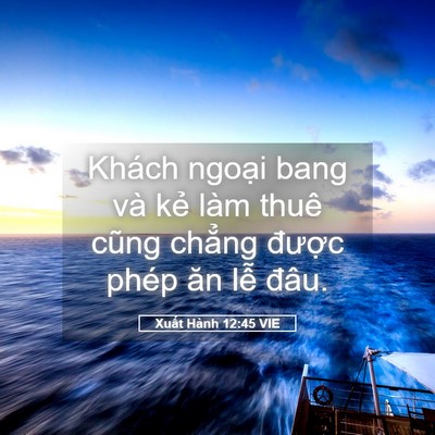 Picture 05 - Xuất Hành 12:45 VIE - Khách ngoại bang và kẻ làm thuê cũng - Bible Verse Picture