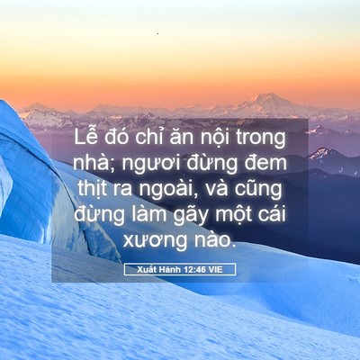 Picture 05 - Xuất Hành 12:46 VIE - Lễ đó chỉ ăn nội trong nhà; ngươi - Bible Verse Picture