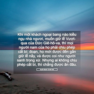 Picture 05 - Xuất Hành 12:48 VIE - Khi một khách ngoại bang nào kiều ngụ - Bible Verse Picture