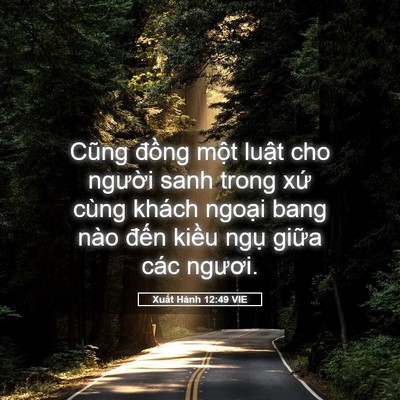 Picture 05 - Xuất Hành 12:49 VIE - Cũng đồng một luật cho người sanh - Bible Verse Picture
