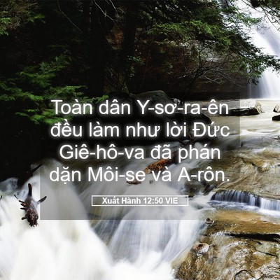 Picture 05 - Xuất Hành 12:50 VIE - Toàn dân Y-sơ-ra-ên đều làm như lời - Bible Verse Picture