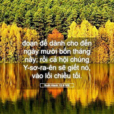 Picture 05 - Xuất Hành 12:6 VIE - đoạn để dành cho đến ngày mười - Bible Verse Picture