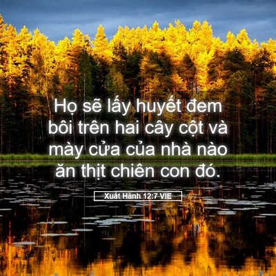 Picture 05 - Xuất Hành 12:7 VIE - Họ sẽ lấy huyết đem bôi trên hai cây - Bible Verse Picture