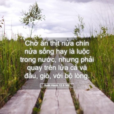 Picture 05 - Xuất Hành 12:9 VIE - Chớ ăn thịt nửa chín nửa sống hay là - Bible Verse Picture