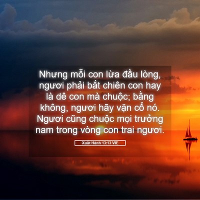 Picture 05 - Xuất Hành 13:13 VIE - Nhưng mỗi con lừa đầu lòng, ngươi - Bible Verse Picture