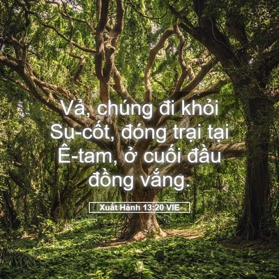 Picture 05 - Xuất Hành 13:20 VIE - Vả, chúng đi khỏi Su-cốt, đóng trại - Bible Verse Picture