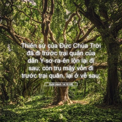 Picture 05 - Xuất Hành 14:19 VIE - Thiên sứ của Đức Chúa Trời đã đi - Bible Verse Picture