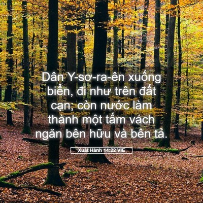 Picture 05 - Xuất Hành 14:22 VIE - Dân Y-sơ-ra-ên xuống biển, đi như trên - Bible Verse Picture