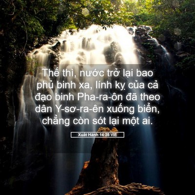 Picture 05 - Xuất Hành 14:28 VIE - Thế thì, nước trở lại bao phủ binh - Bible Verse Picture
